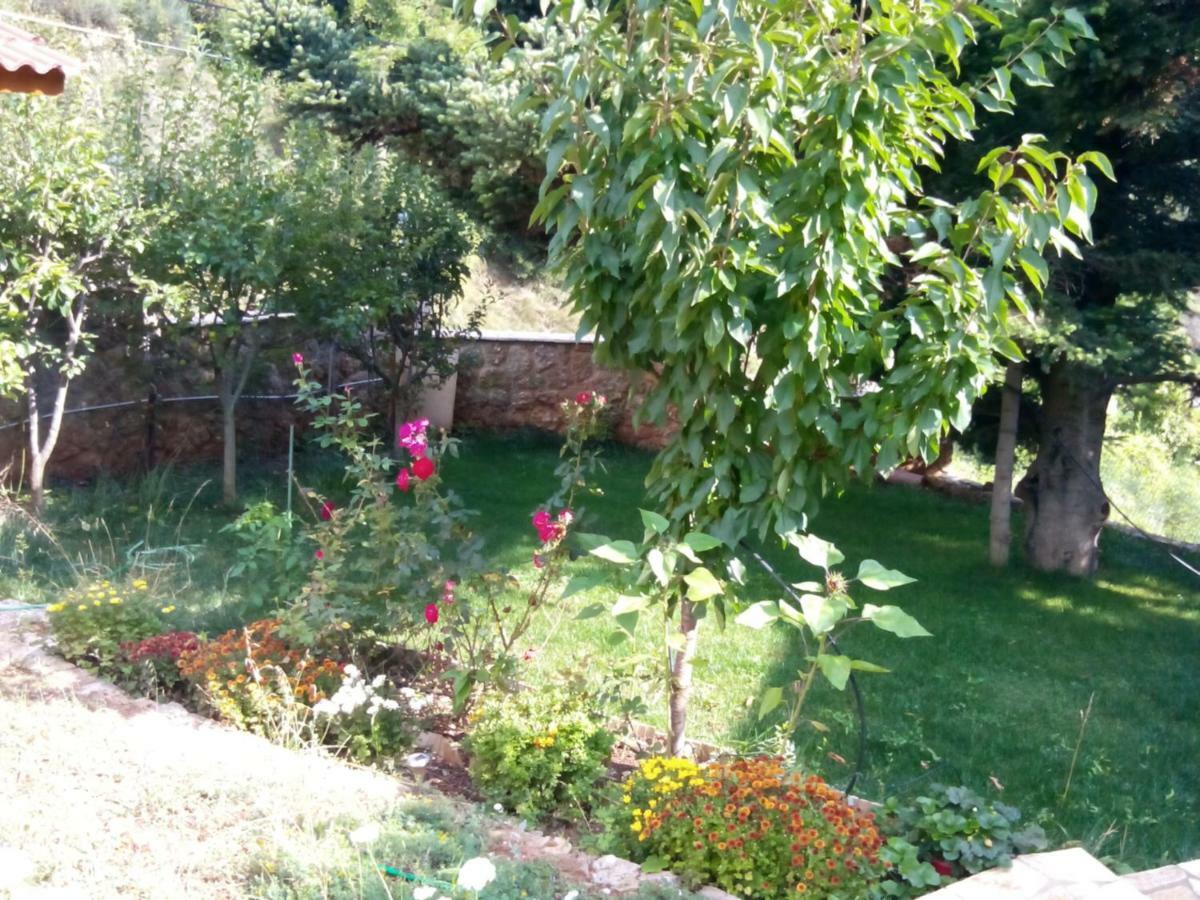 Elatos Cozy Studio Ano Trikala Exterior foto